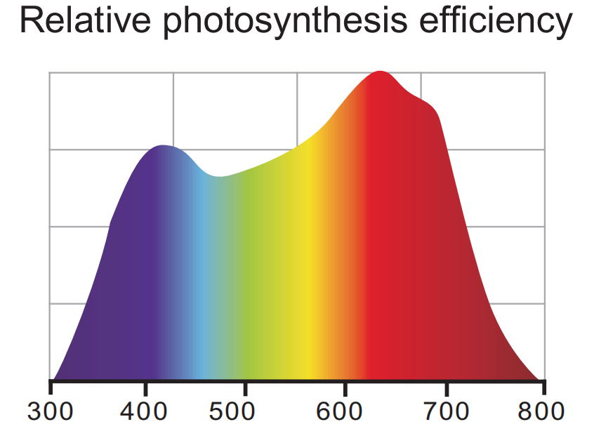 Relative photosynthesis efficiency
