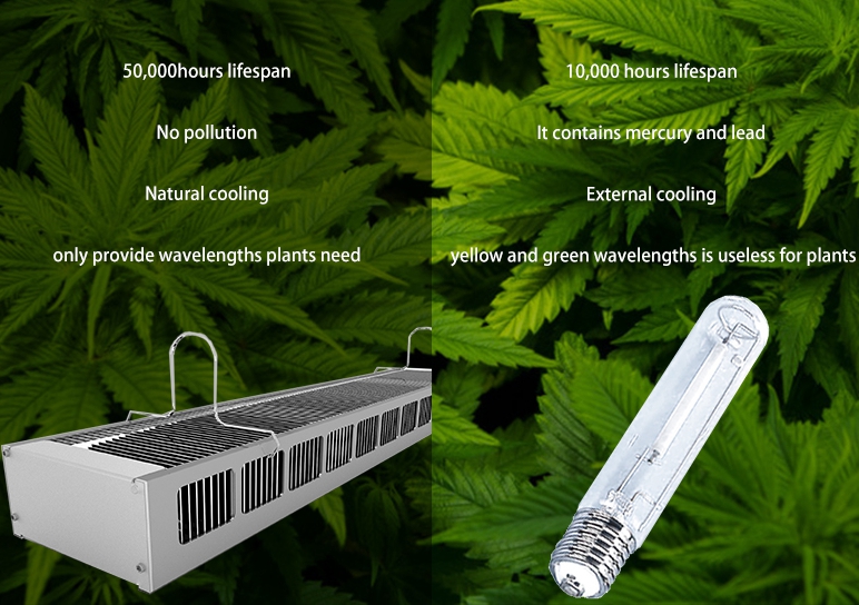 led-grow-lights-vs-hps