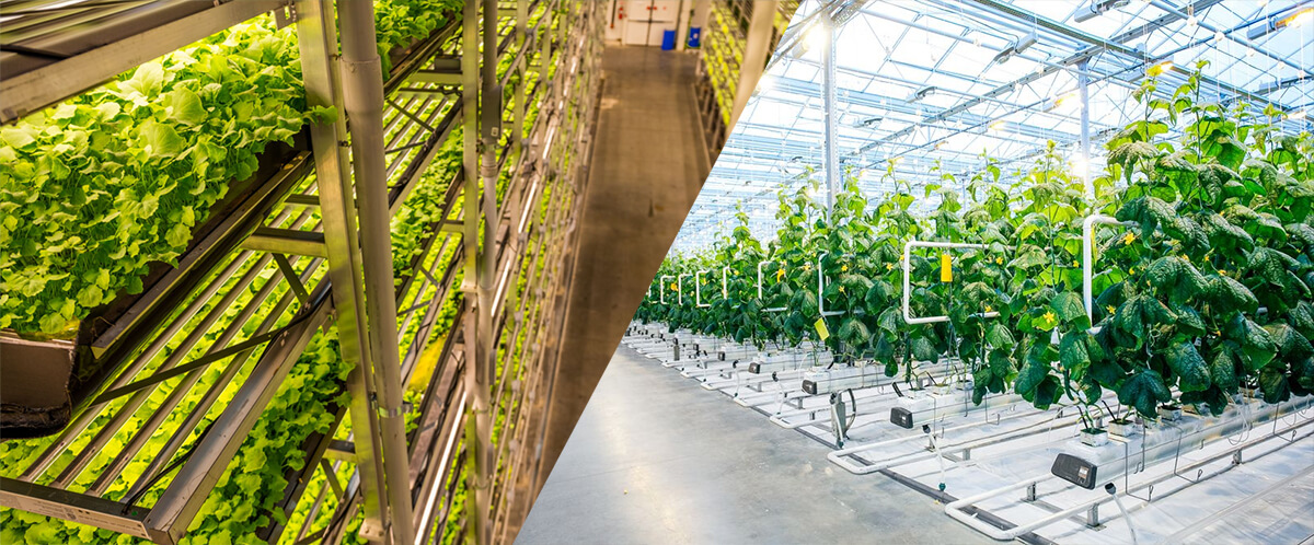 trend of the global vertical farm and indoor farm market