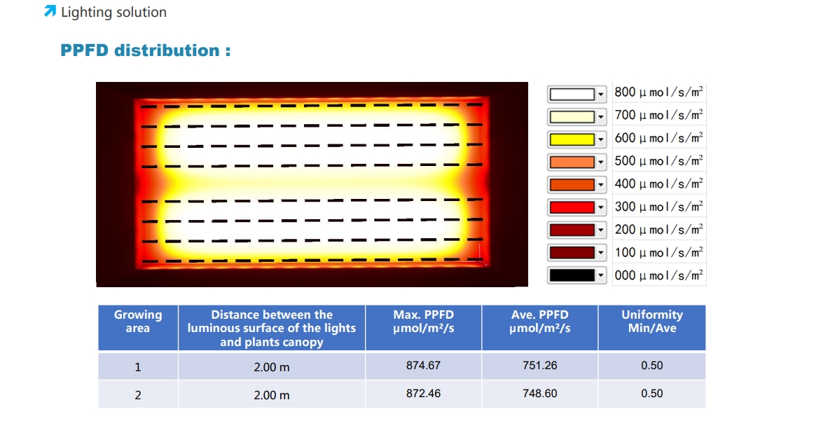 Average PPFD 